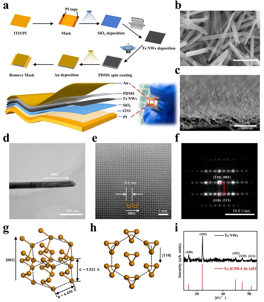 柔性单通道多功能热电半导体传感器件研究取得重要新进展